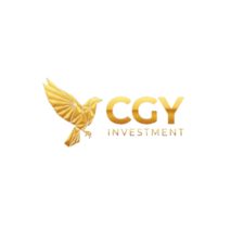 cgy-investment.com